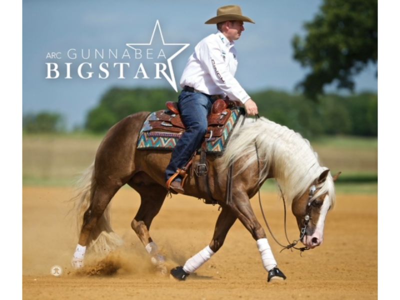 Quarter Horse News Tulsa Reining Classic Stallion Auction